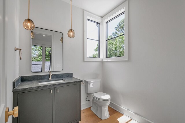 bathroom featuring baseboards, vanity, toilet, and wood finished floors