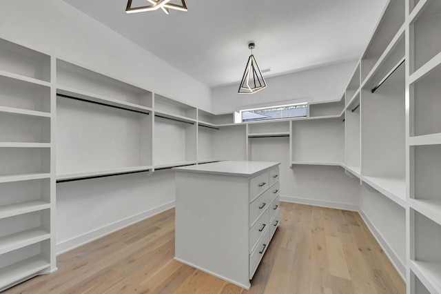 spacious closet featuring light wood finished floors