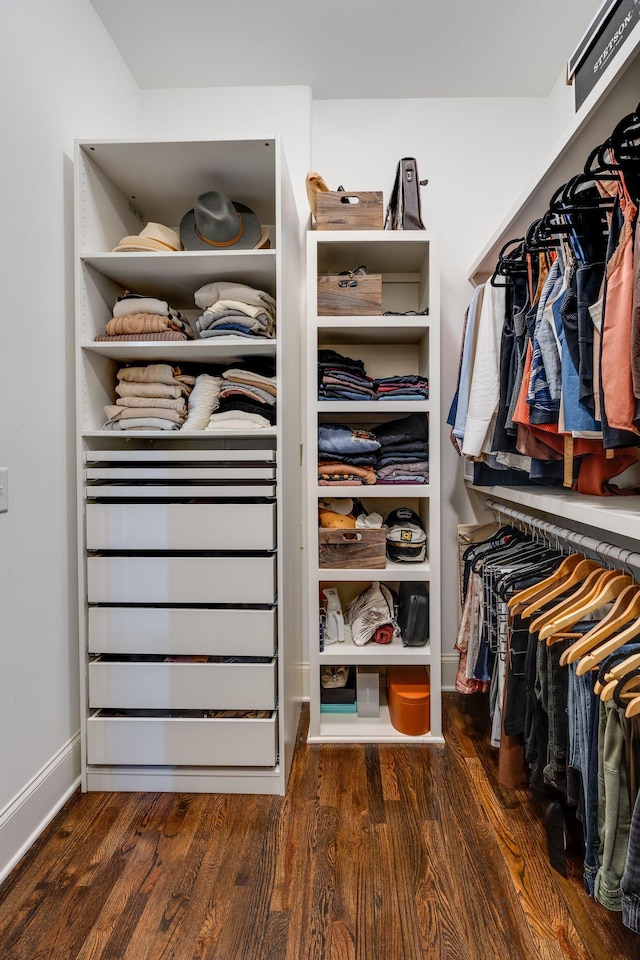 spacious closet featuring wood finished floors