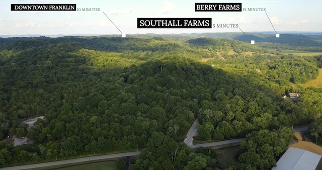 drone / aerial view featuring a view of trees