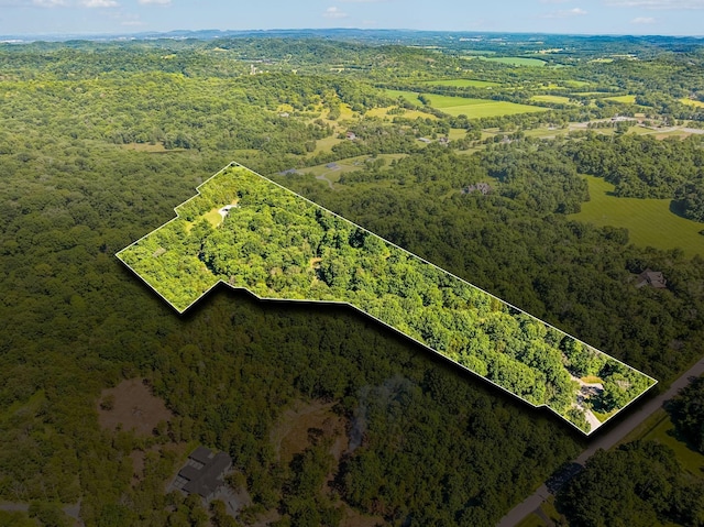 bird's eye view with a wooded view