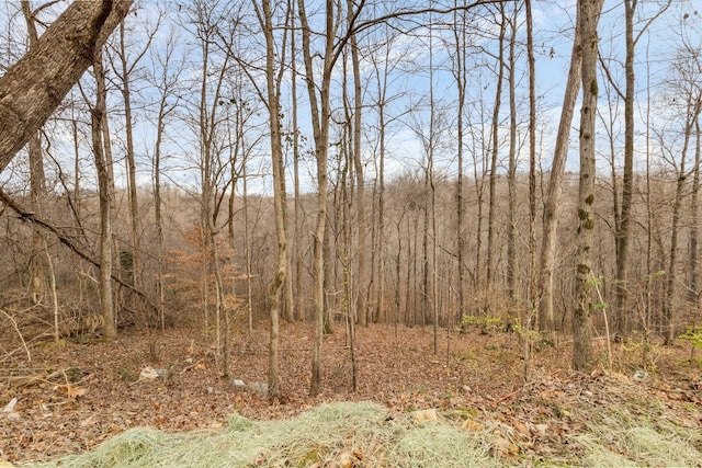 view of landscape featuring a wooded view