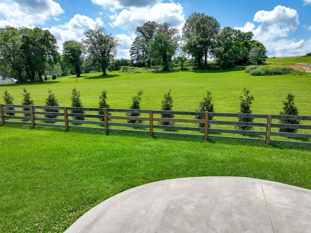 427 Carters Creek Pike, Columbia, TN 38401 - view of yard