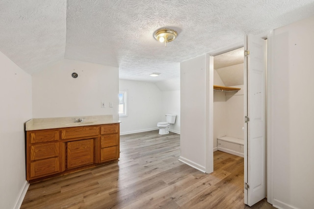 120 Wilkerson Ln, Portland, TN 37148 - bathroom with lofted ceiling, a textured ceiling, wood finished floors, and baseboards