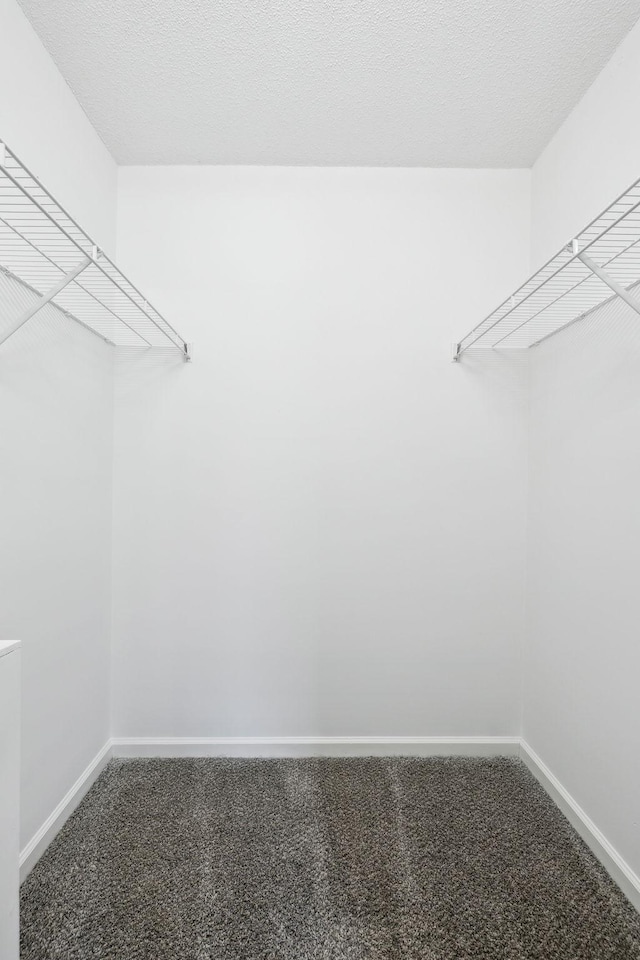 walk in closet with carpet