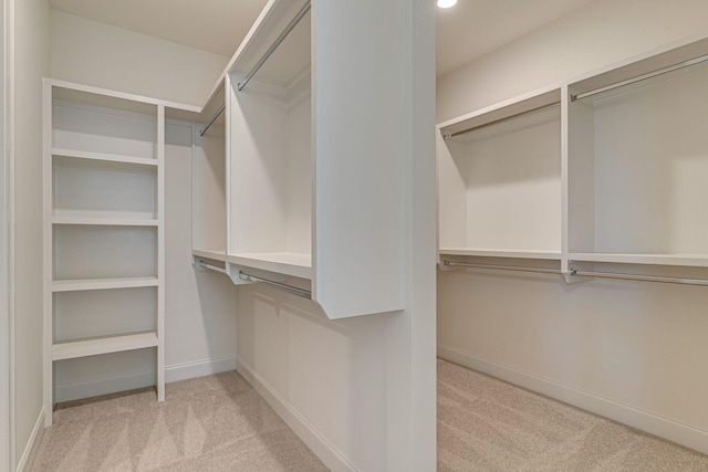 spacious closet with carpet floors