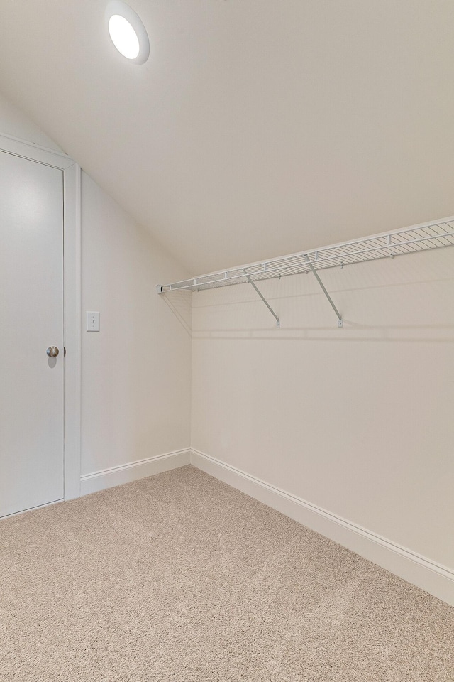 spacious closet featuring carpet floors and vaulted ceiling