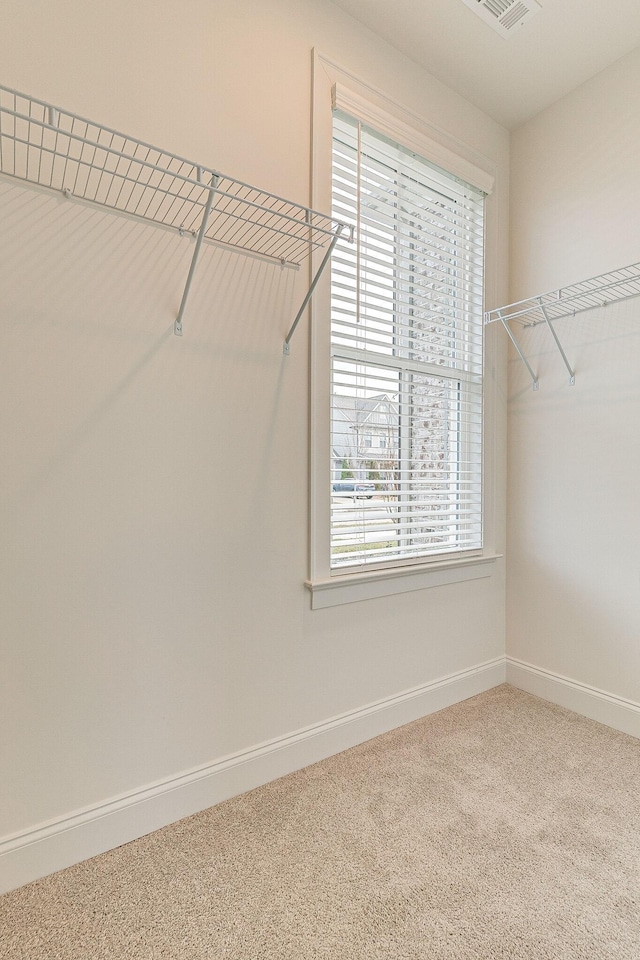 walk in closet with carpet