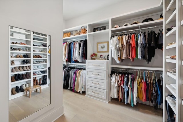 6324 Percheron Ln, Arrington, TN 37014 - spacious closet with light wood-style flooring