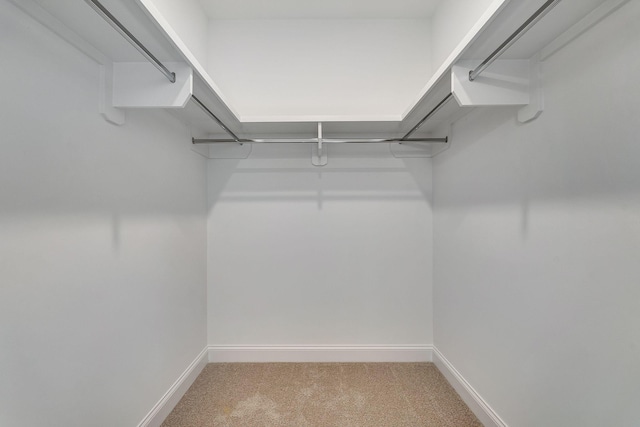 spacious closet featuring carpet