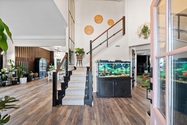 entryway featuring stairway, a towering ceiling, and wood finished floors