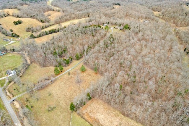 drone / aerial view with a rural view