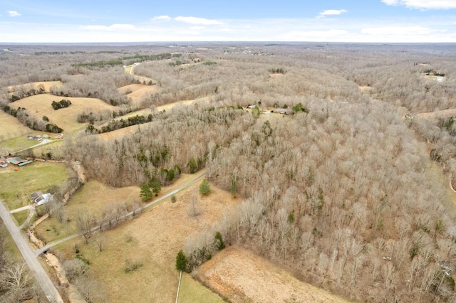 bird's eye view featuring a rural view