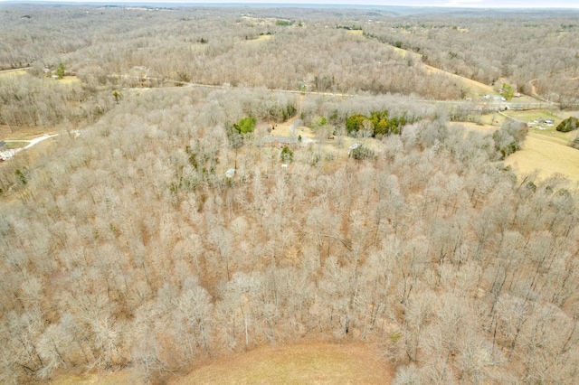 aerial view with a rural view