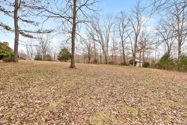 view of yard featuring an outbuilding