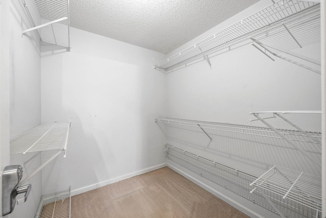 walk in closet with visible vents and carpet flooring