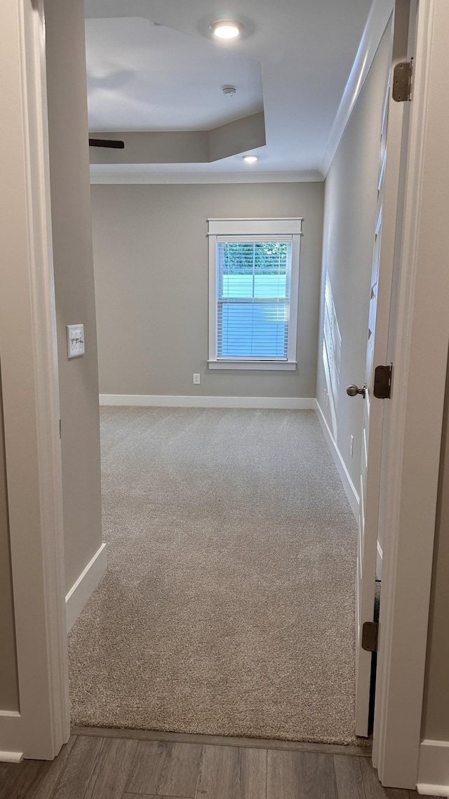 carpeted spare room featuring ornamental molding, a tray ceiling, wood finished floors, and baseboards