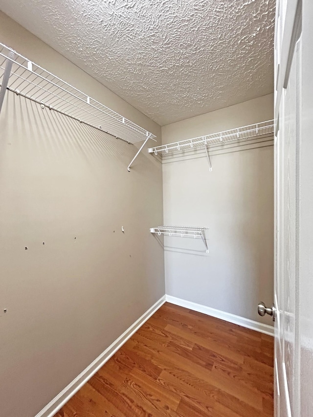 spacious closet with wood finished floors