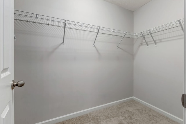 walk in closet featuring carpet flooring