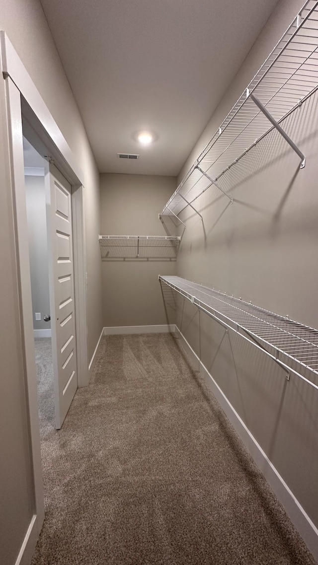 spacious closet featuring carpet flooring and visible vents