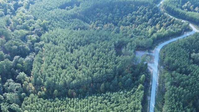 301 Ridgewood Dr, Linden, TN 37096 - photo 5