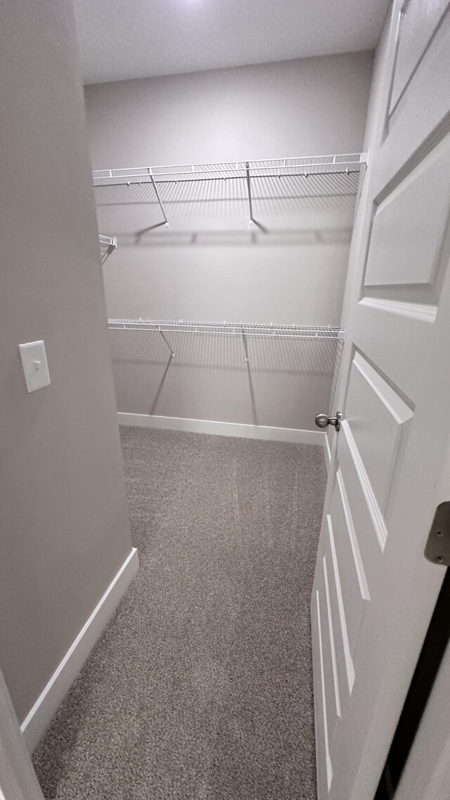 spacious closet with carpet