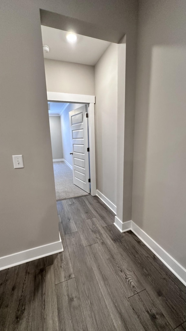 interior space with baseboards and dark wood-type flooring