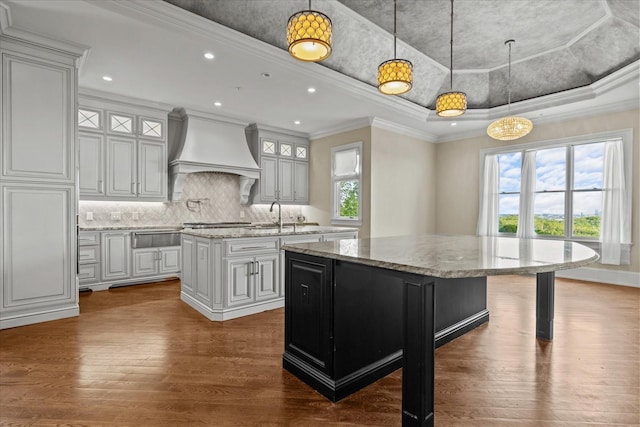 kitchen with dark wood-style floors, a center island, custom range hood, and a tray ceiling