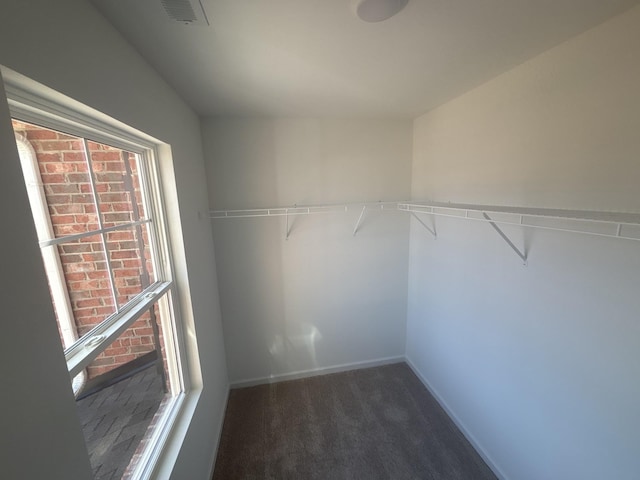 spacious closet featuring visible vents and carpet flooring