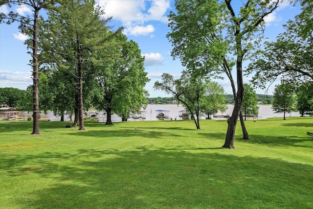 view of property's community with a lawn