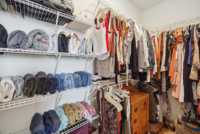 view of walk in closet