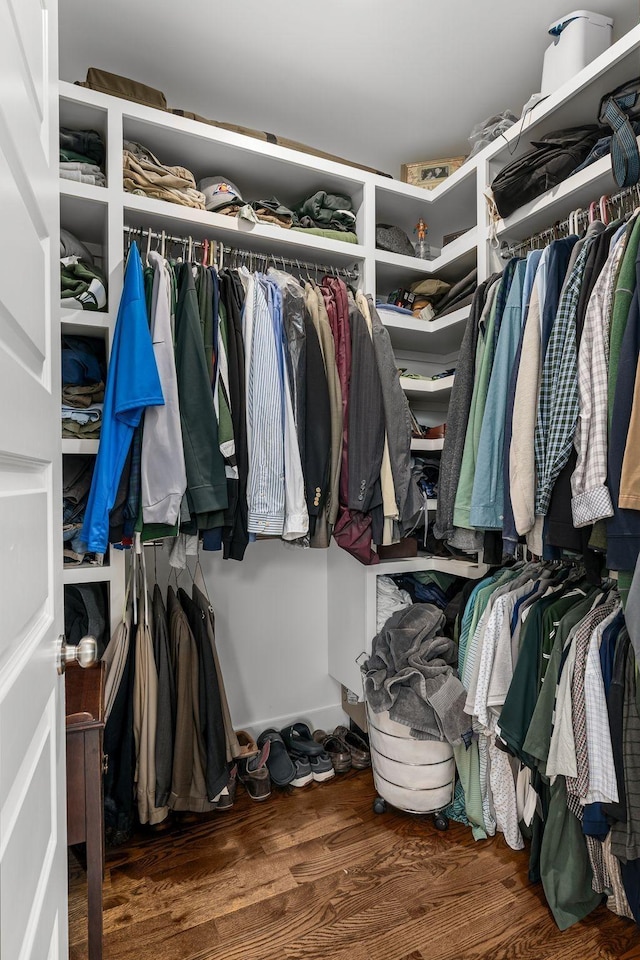 spacious closet featuring wood finished floors