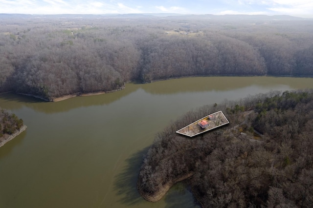 aerial view with a water view and a view of trees