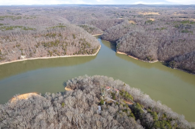 bird's eye view with a water view and a view of trees