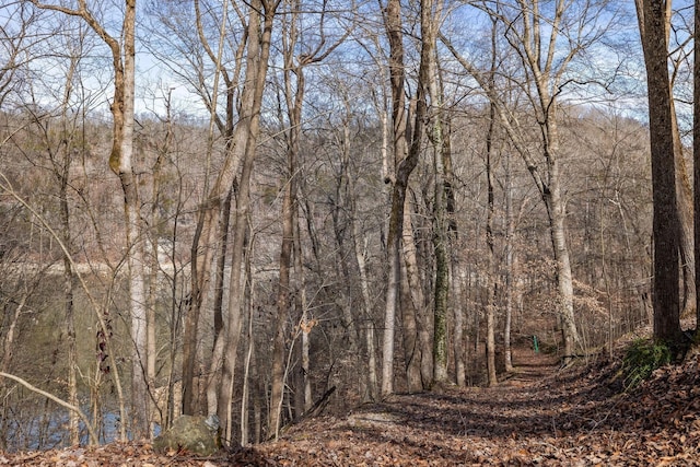 view of local wilderness featuring a forest view