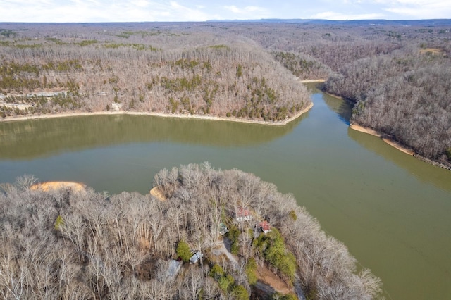 bird's eye view with a water view and a wooded view