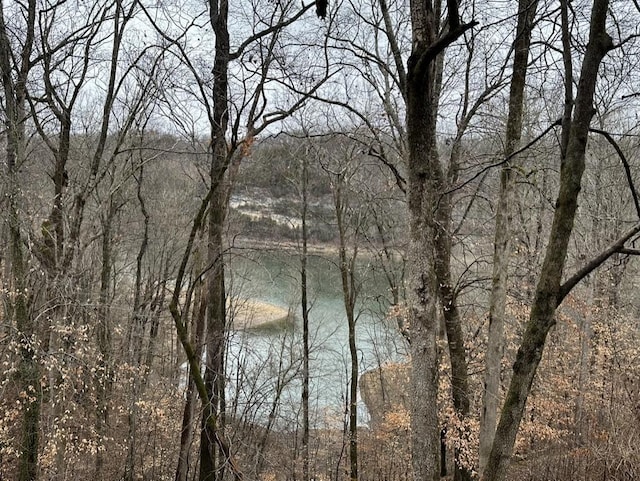 water view featuring a forest view