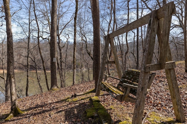 view of nature featuring a forest view