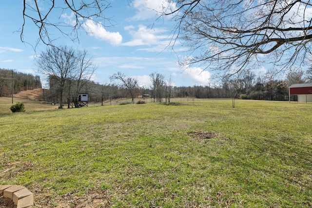 view of yard with an outbuilding