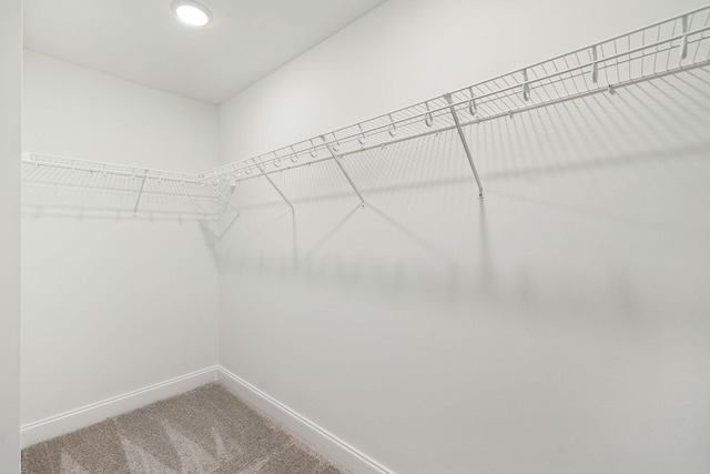 spacious closet featuring light carpet