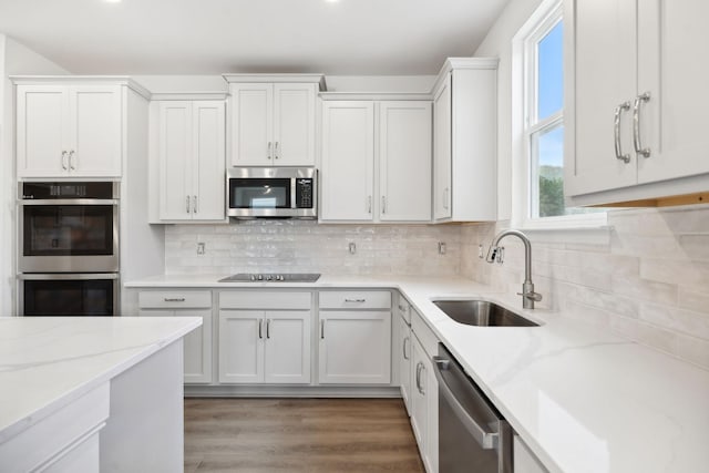 kitchen featuring light stone counters, stainless steel appliances, wood finished floors, a sink, and tasteful backsplash