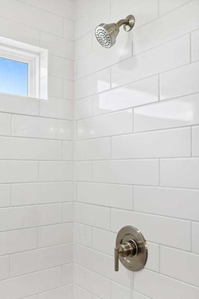 room details with tiled shower