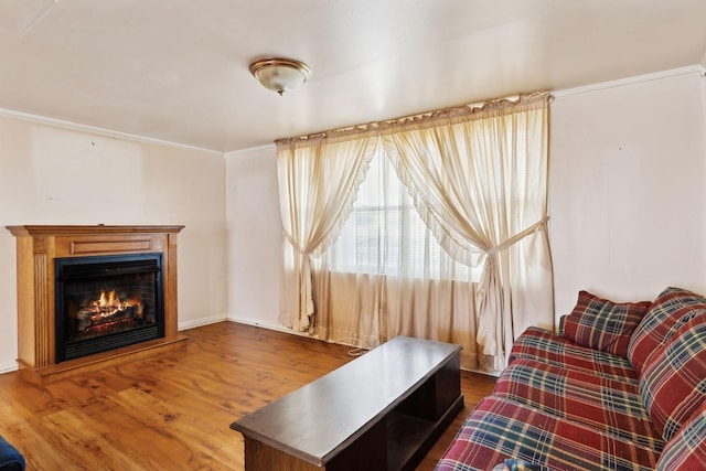 living area featuring a glass covered fireplace, wood finished floors, and ornamental molding