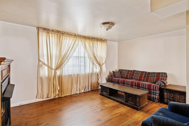 living room featuring wood finished floors, crown molding, and a fireplace