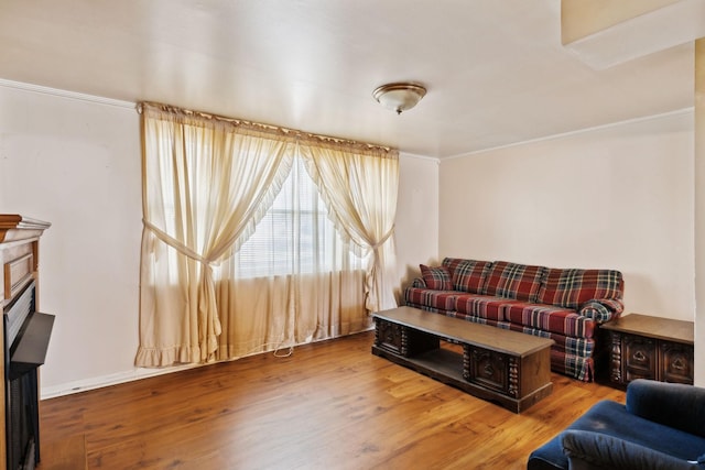 living area featuring wood finished floors, a fireplace, and crown molding