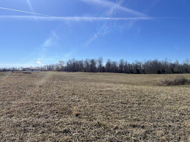 8 Marion Rd, Fredonia KY, 42411 land for sale