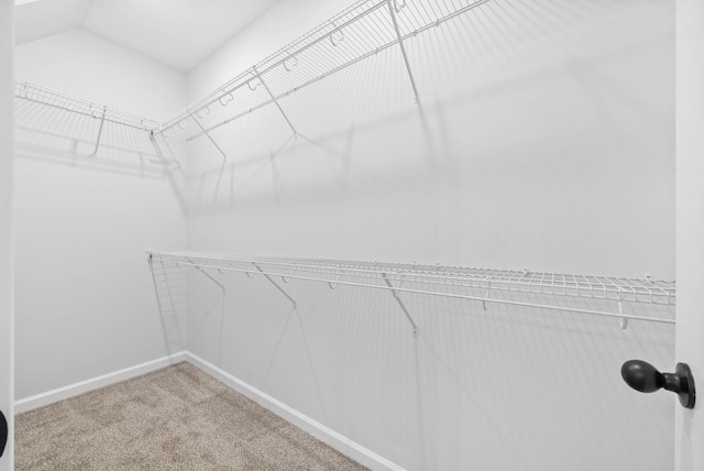 walk in closet featuring carpet