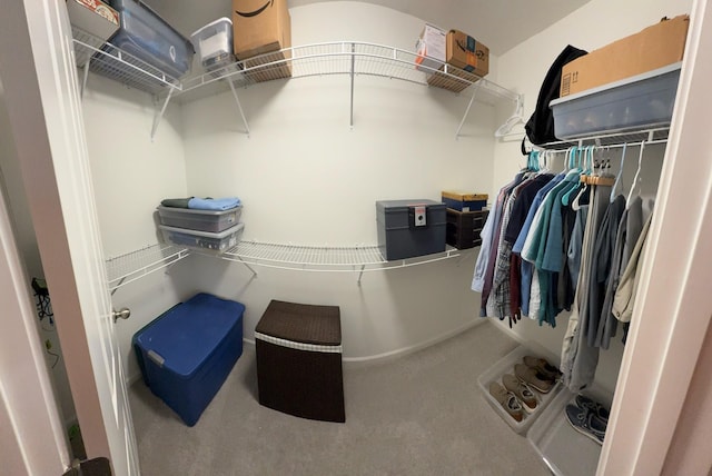 view of spacious closet