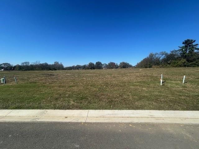 view of yard with a rural view