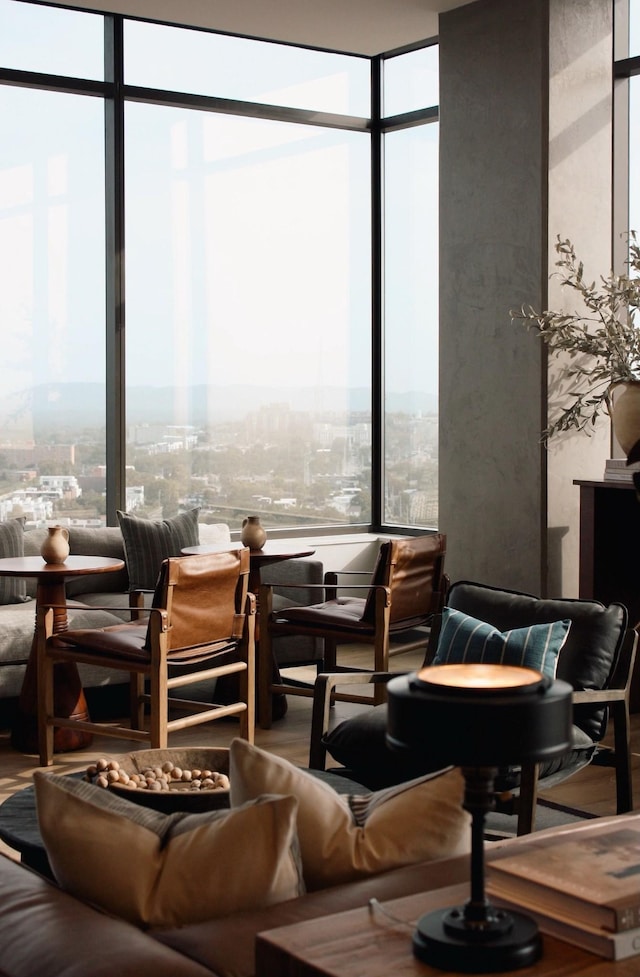 interior space with a wealth of natural light and floor to ceiling windows